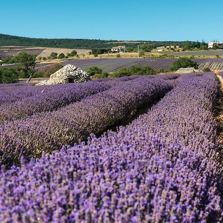 Serre Des Ormes - Cycling, Walking & Running Retreat Salerans Esterno foto