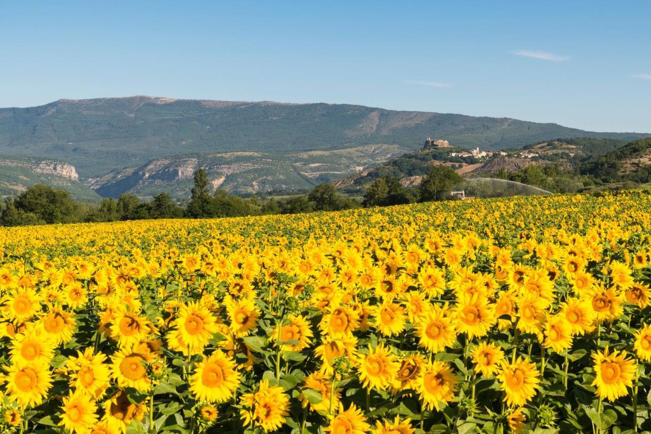 Serre Des Ormes - Cycling, Walking & Running Retreat Salerans Esterno foto