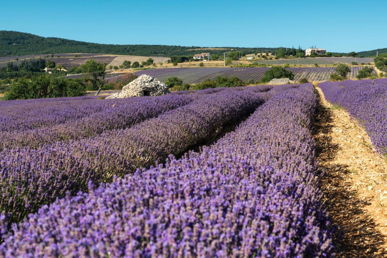 Serre Des Ormes - Cycling, Walking & Running Retreat Salerans Esterno foto